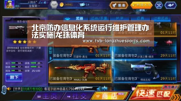 龙珠体育