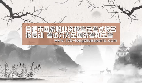 龙珠体育