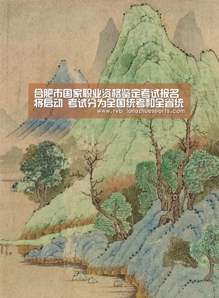 龙珠体育