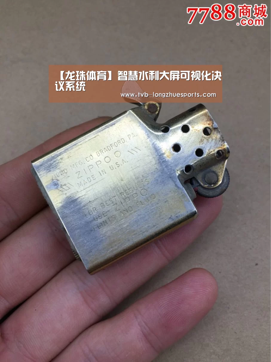龙珠体育