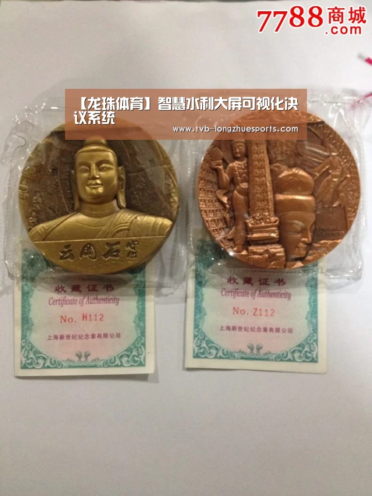 龙珠体育