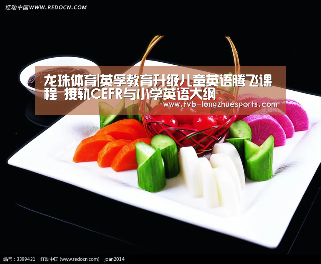 龙珠体育
