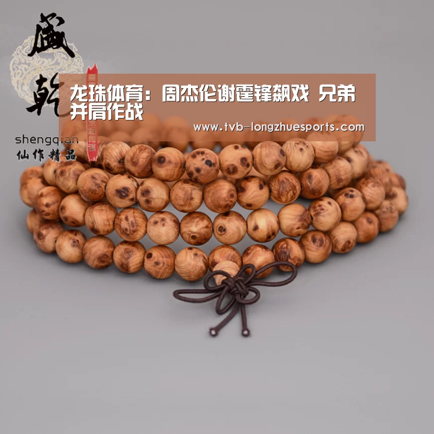 龙珠体育