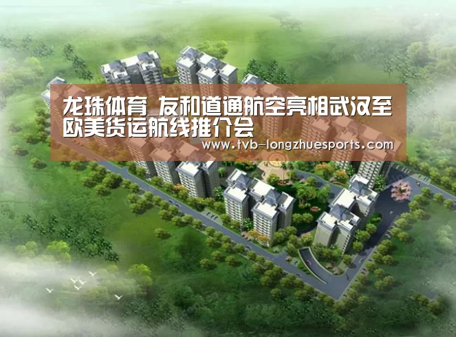 龙珠体育