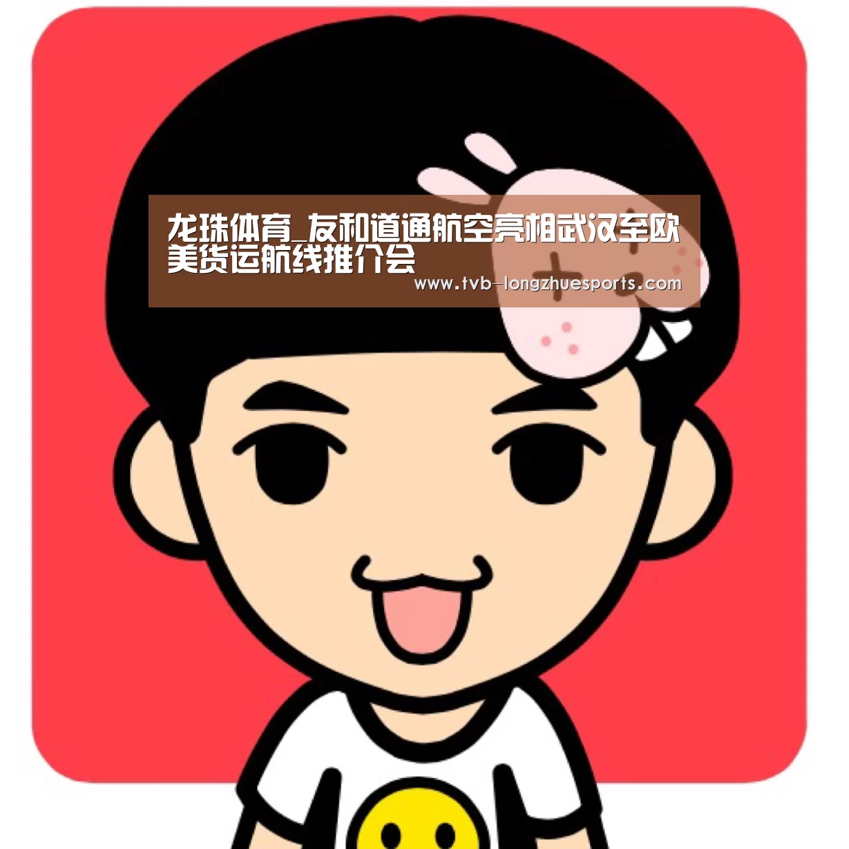 龙珠体育