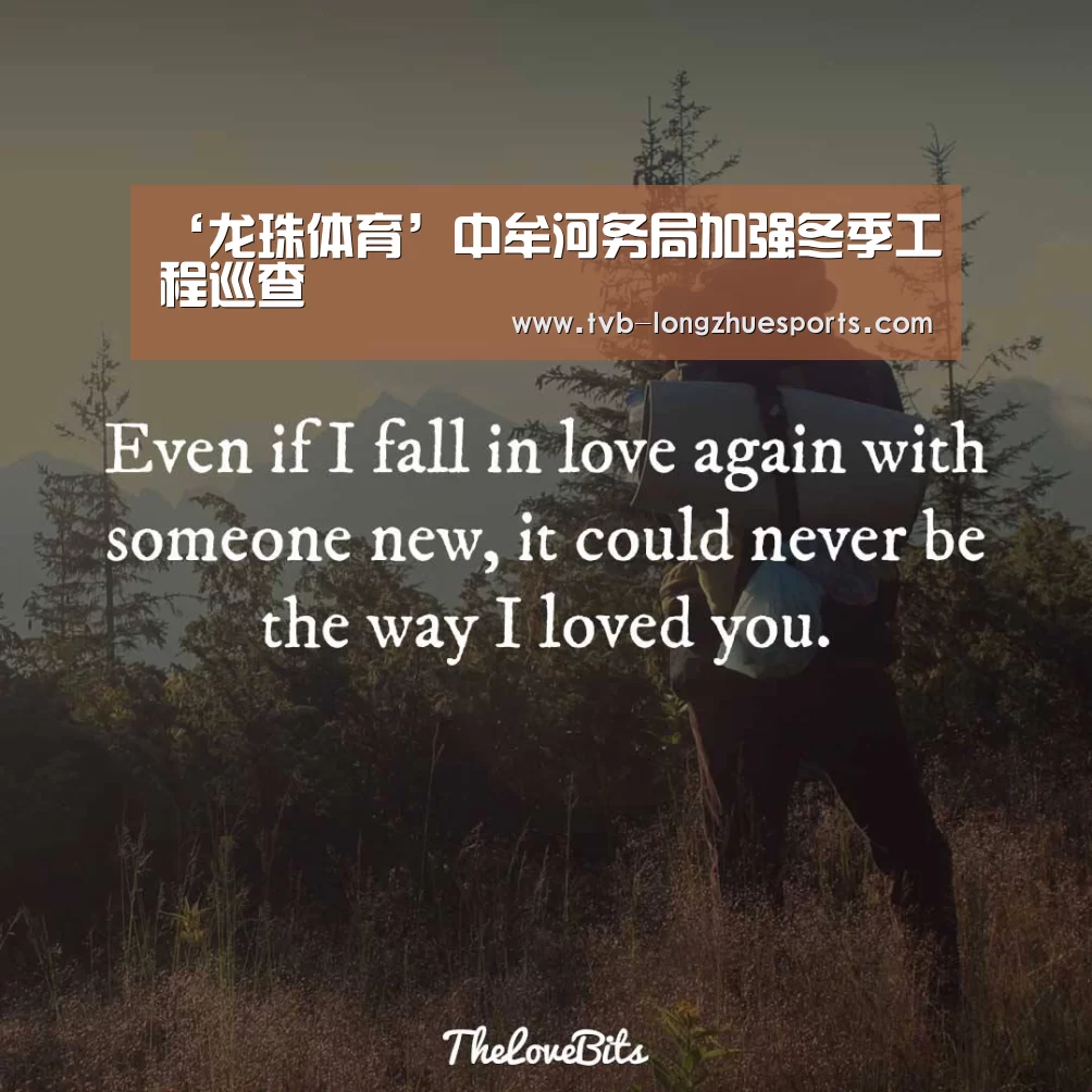 龙珠体育