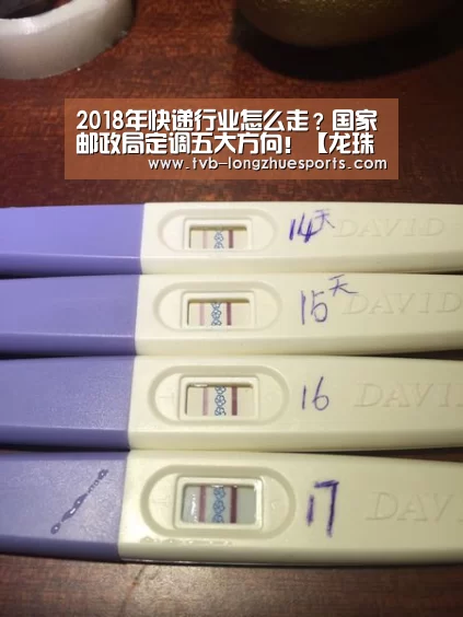 龙珠体育
