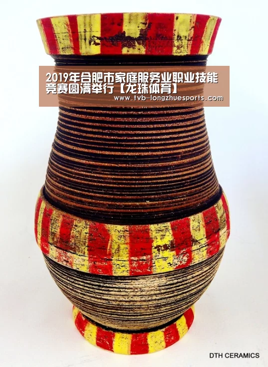 龙珠体育
