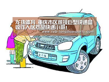 龙珠体育