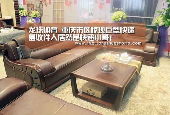龙珠体育