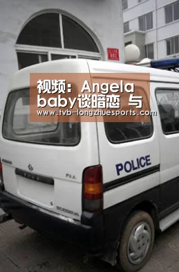 龙珠体育