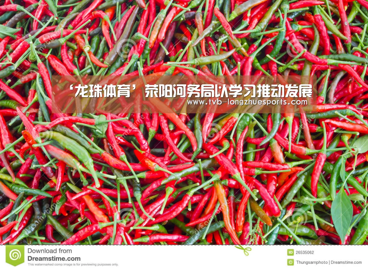 ‘龙珠体育’荥阳河务局以学习推动发展(图1) 龙珠体育