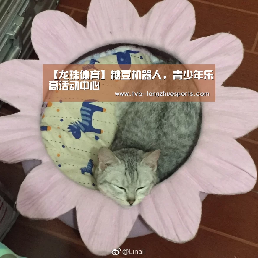 【龙珠体育】糖豆机器人,青少年乐高活动中心(图2) 龙珠体育