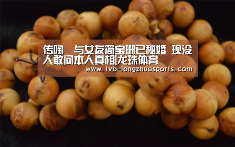 龙珠体育