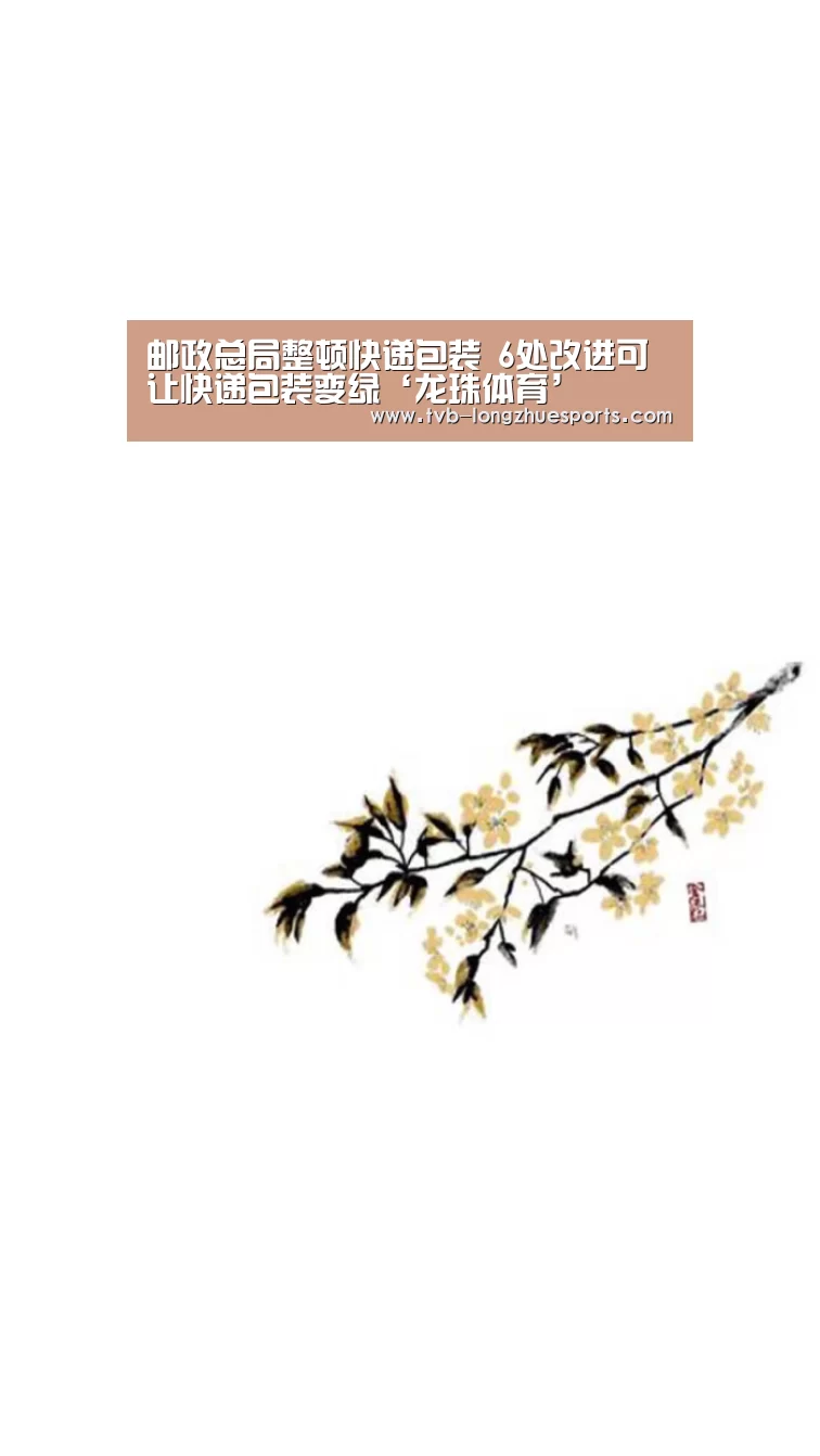 邮政总局整顿快递包装 6处改进可让快递包装变绿‘龙珠体育’(图1) 龙珠体育