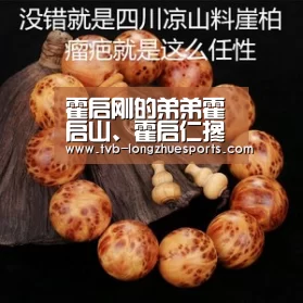 霍启刚的弟弟霍启山、霍启仁搀扶霍家老太入场:龙珠体育(图1) 龙珠体育