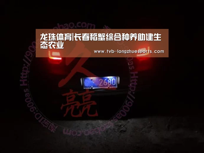 龙珠体育|长春稻蟹综合种养助建生态农业(图1) 龙珠体育