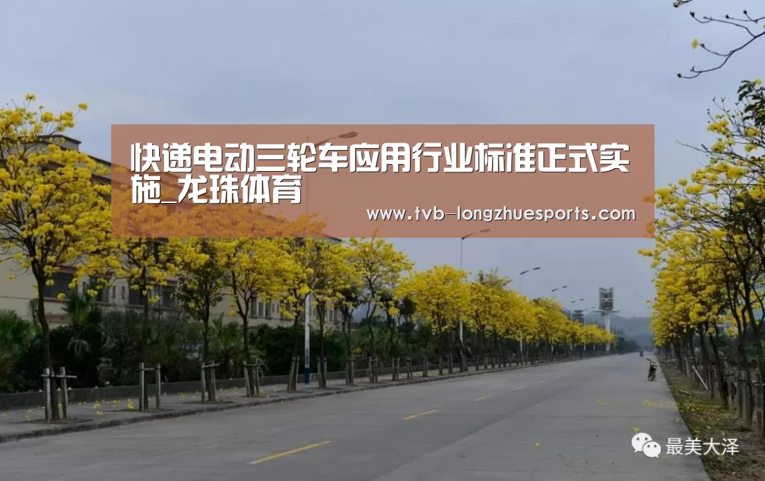 快递电动三轮车应用行业标准正式实施_龙珠体育(图1) 龙珠体育