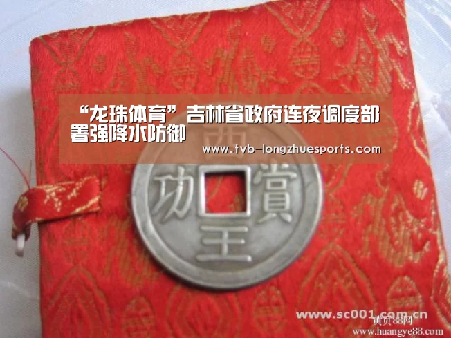 “龙珠体育”吉林省政府连夜调度部署强降水防御(图1) 龙珠体育